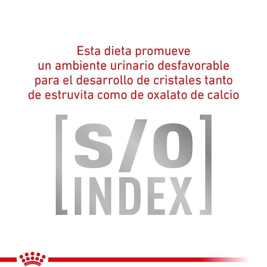 Perro Royal Canin VET Alimento H Medo | Alimento En Lata Enfermedad Urinaria Royal Canin Vet Urinary So