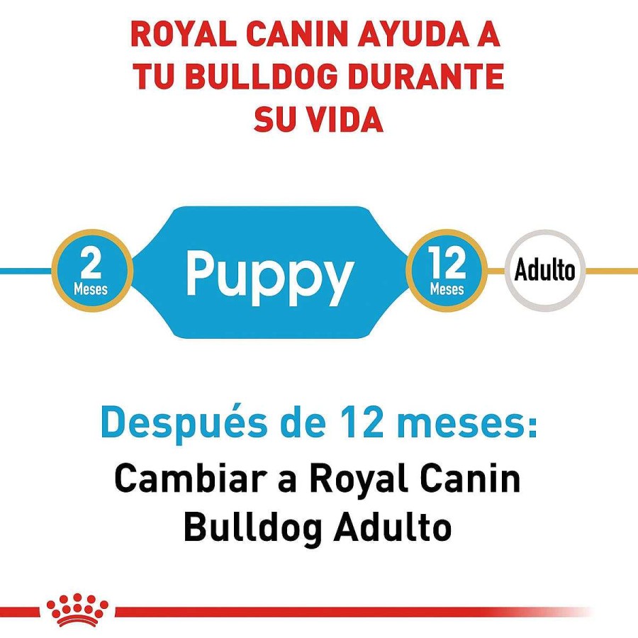 Perro Royal Canin SPT Alimento Seco | Alimento Para Perro Royal Canin Bhn Bulldog Puppy 30