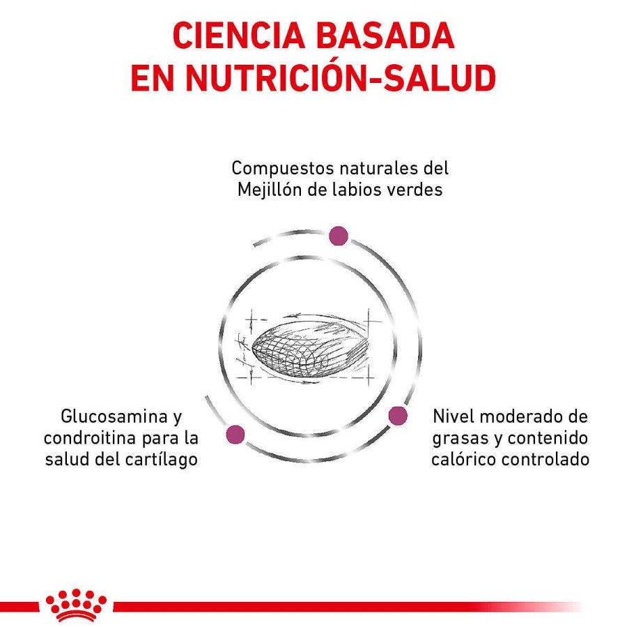 Perro Royal Canin VET Alimento Seco | Alimento Para Perro Adulto Royal Canin Vet Advanced Mobility