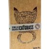 Gato La Gatería Catnip | Cat Grass La Gater A