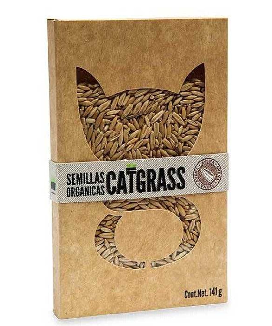 Gato La Gatería Catnip | Cat Grass La Gater A