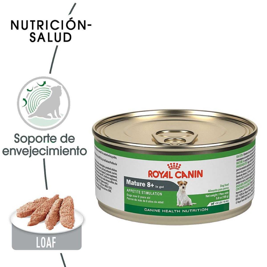 Perro Royal Canin SPT Alimento H Medo | Alimento H Medo En Lata Para Perro Adulto Maduro 8 + Razas Peque As Royal Canin Spt (Wet Mature) Pieza Individual