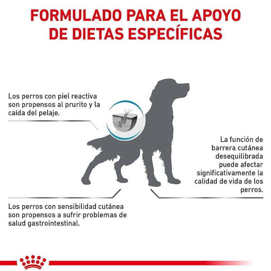 Perro Royal Canin VET Alimento Seco | Alimento Para Perro Adulto Piel Sensible Royal Canin Vet Skin Care Adult