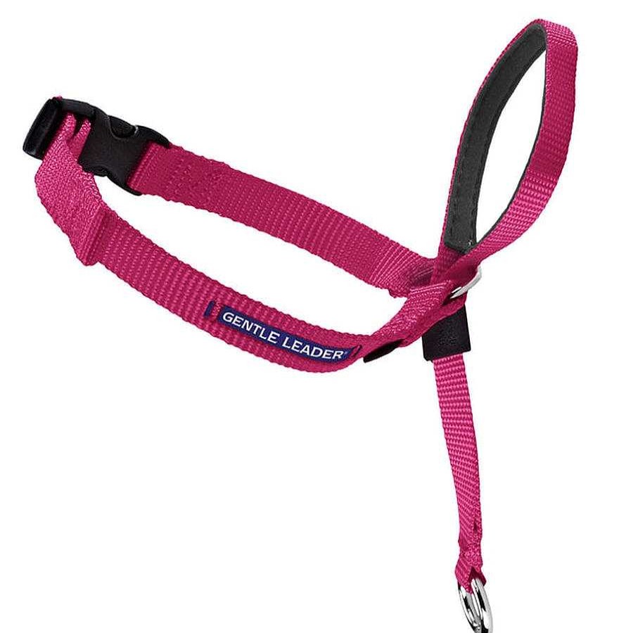 Gato PetSafe Cuidados | Gentle Leader Head Collar Petsafe