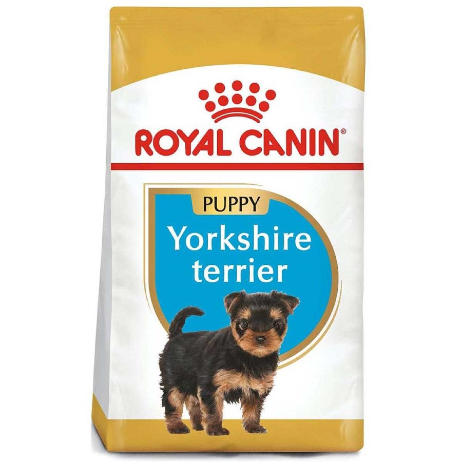 Perro Royal Canin SPT Alimento Seco | Alimento Para Cachorro Yorkshire Terrier Royal Canin Spt 1.0 Kg