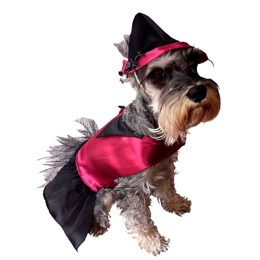 Perro Pet Pals Boutique Ropa | Disfraz De Bruja By Pet Pals