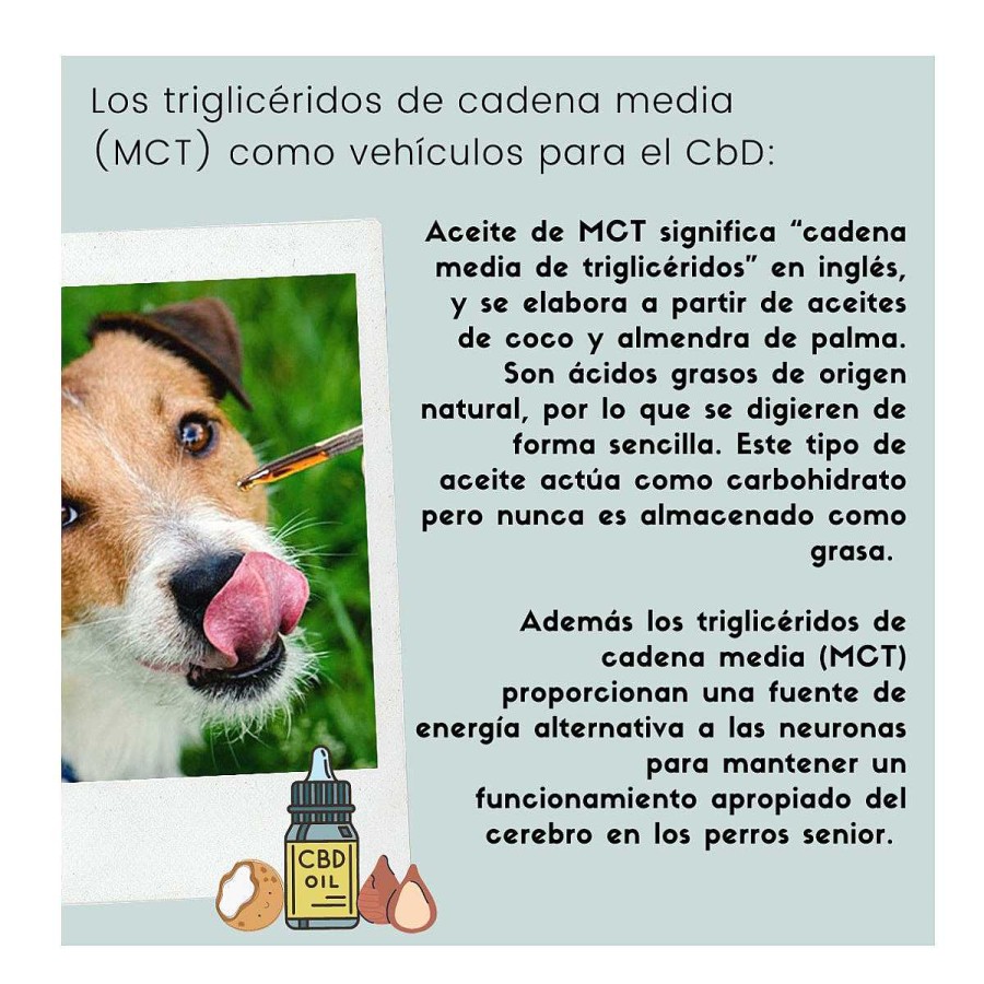 Perro Dogift Vitaminas | Aceite Para Perro Raza Grande 17 Mg/Ml (500 Mg En 30 Ml) Dogift