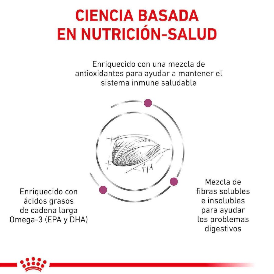 Gato Royal Canin VET Alimento Seco | Alimento Para Gato Adulto Enfermedad Renal Royal Canin Vet Renal Support F Feline