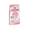 Gato Royal Canin SPT Alimento Seco | Alimento Para Gatito (Kitten) Royal Canin Spt