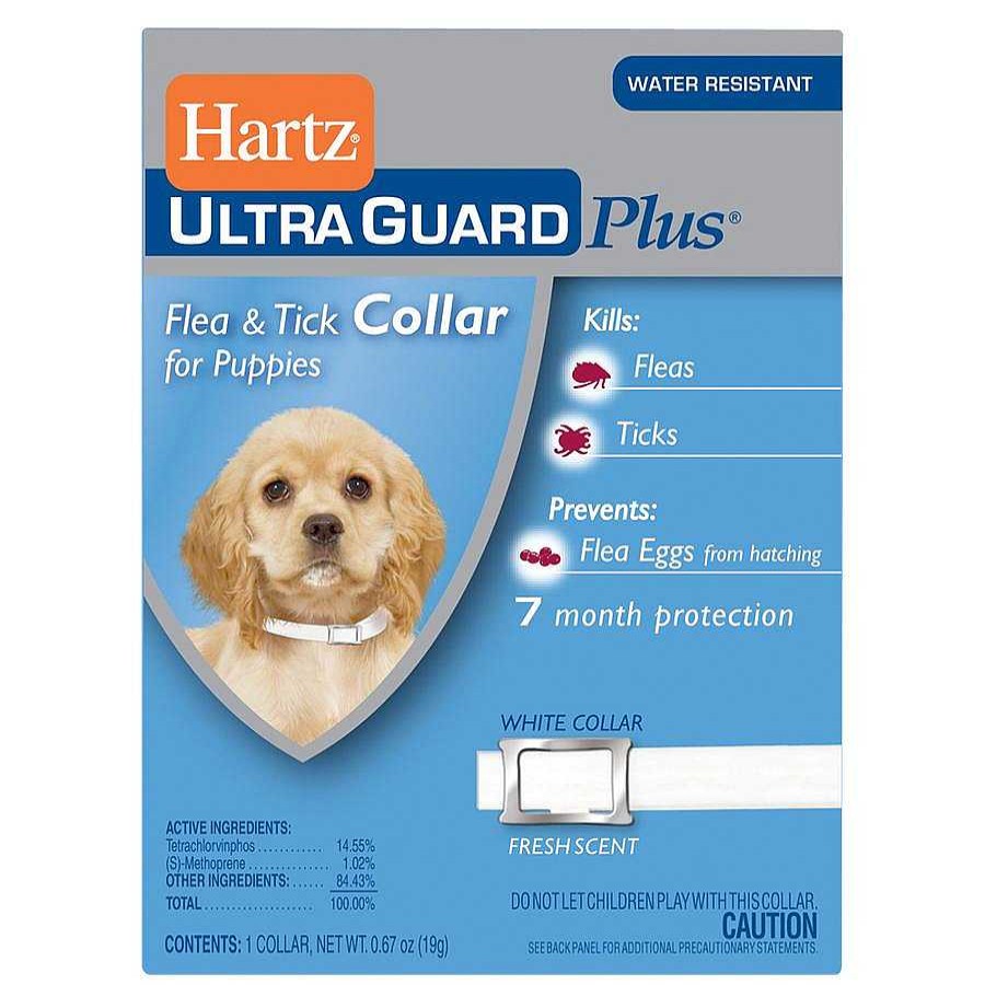 Perro Hartz Antipulgas Y Desparasitantes | Collar Antipulgas Plus 7 Meses De Protecci N Cachorros