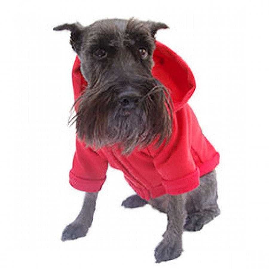 Perro Pet Pals Boutique Ropa | Sudadera Deportiva Pet Pals