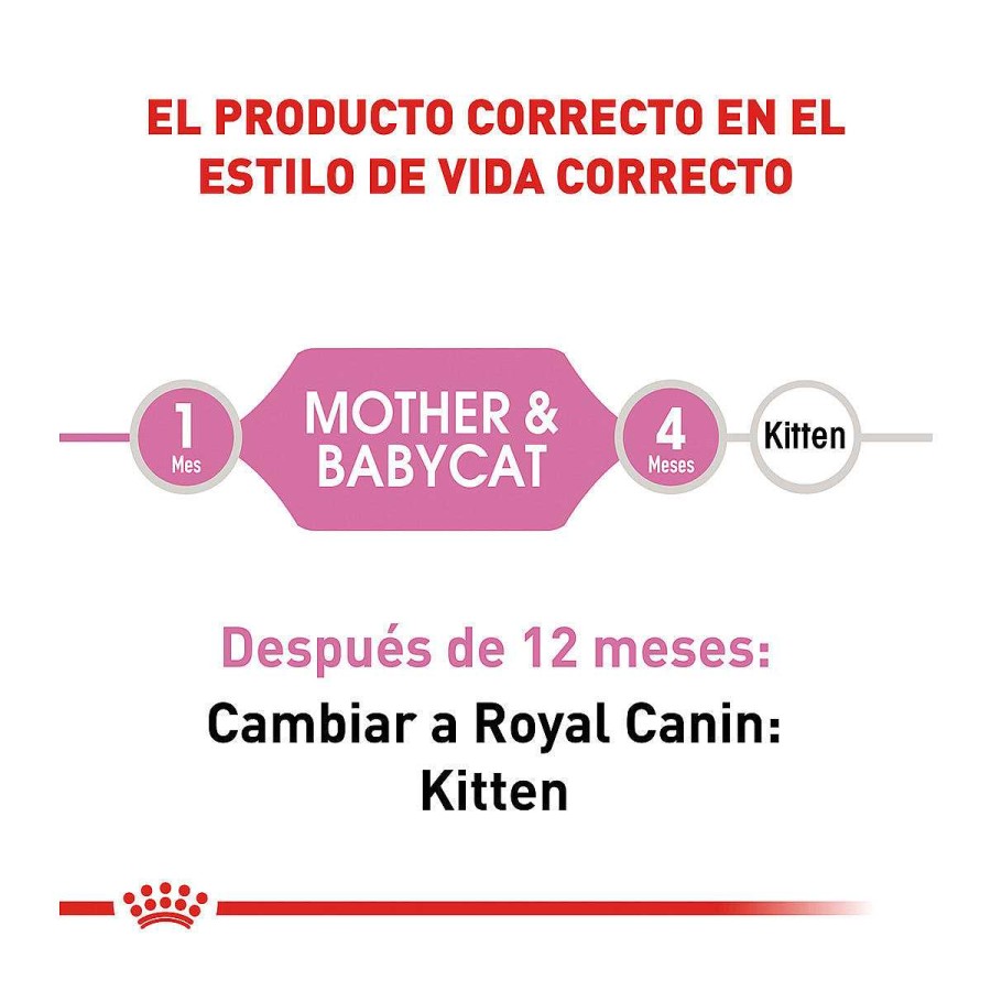 Gato Royal Canin SPT Alimento Seco | Alimento Para Gata Gestante O Lactante Y Gatito (Mother & Babycat) Royal Canin Spt