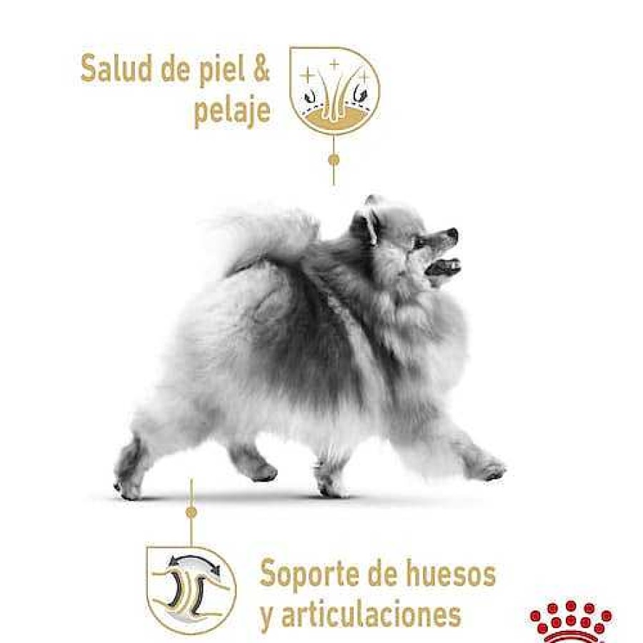 Perro Royal Canin SPT Alimento H Medo | Alimento H Medo En Lata Para Perro Pomeranian Adulto Royal Canin Spt Pieza Individual