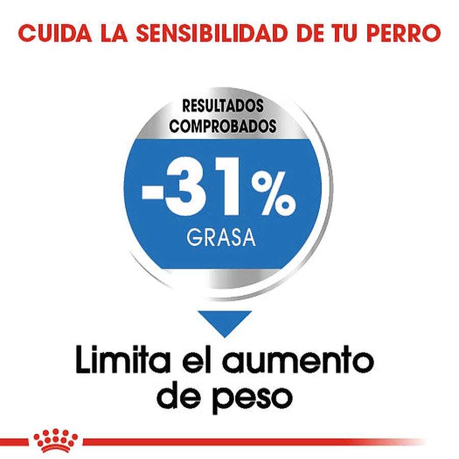 Perro Royal Canin SPT Alimento Seco | Alimento Para Perro Adulto Raza Peque A Royal Canin Spt Cuidado De Peso (Small Weight Care) 1.13 Kg